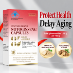 Notoginseng & American Ginseng Capsules – 12 Count