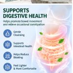 L-Carnitine Weight Management Capsules – 1/2/3 Month Weight Management Program - Image 6