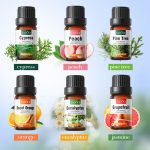 Multi-Purpose Essential Oil for Aromatherapy, Face, Hair & Body Massage – 19 Scents, 10ml