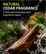 Duftspray für Herren mit Zedernduft 120 ml – Körperdeo mit lang anhaltender Frische – Bild 4